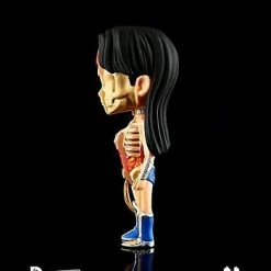 BoomLoot Other Toys XXRay Mighty Jaxx DC: Wonder Woman Dissected Vinyl Art Figure